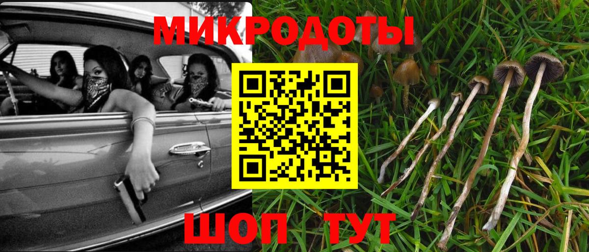 Псилоцибиновые грибы прущие грибы  Вход с VPN  Галлюциногенные грибы Psilocybine cubensis  Карачаевск 